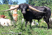 26J_4526.jpg
