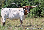 Sweet Ray - I-284043 - 26J_4540