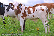 26J_4579.jpg