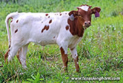 26J_4583.jpg