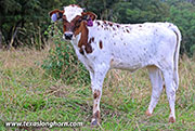 26J_4616.jpg