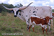 26J_4623.jpg