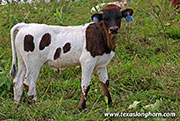 26J_4630.jpg
