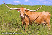 26J_4694.jpg