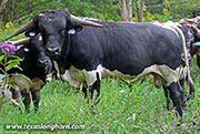 26J_4707.jpg