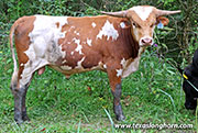 26J_4724.jpg