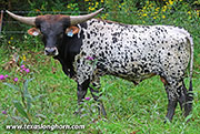 26J_4728.jpg