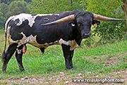 26J_4759.jpg