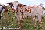 26J_4797.jpg