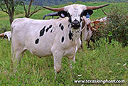 26J_4799.jpg