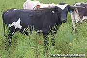 26J_4802.jpg