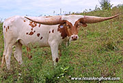 26J_4807.jpg