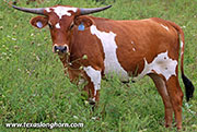 26J_4811.jpg