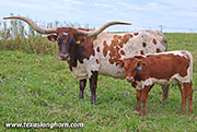 26J_4834.jpg