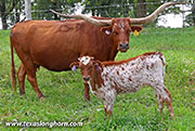 26J_4845.jpg