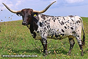 26J_4891.jpg