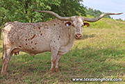 26J_4896.jpg