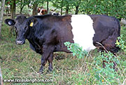 26J_4951.jpg