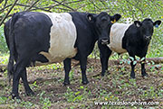 26J_4959.jpg