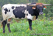 26J_5033.jpg