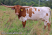 26J_5125.jpg - A Mark Above