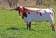 26J_5221.jpg - Rock of Ages