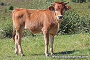 26J_5253.jpg