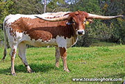 26J_5287.jpg - Menudo