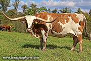 26J_5289.jpg