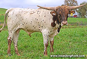 Fast Lane - Fast Lane - 26J_5329
