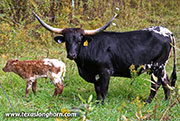 26J_5366.jpg