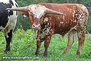 26j_5023.jpg