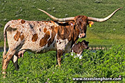 CP_0670_Naughty_Trial-20250801.jpg