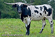 Carbonado 