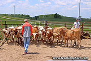 Kid rock 2023 yearlings 